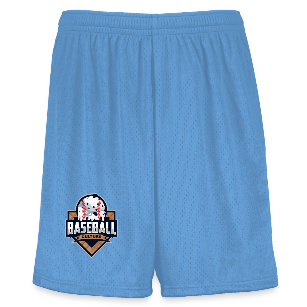 Ice Cream Youth Modified Mesh Short - columbia blue